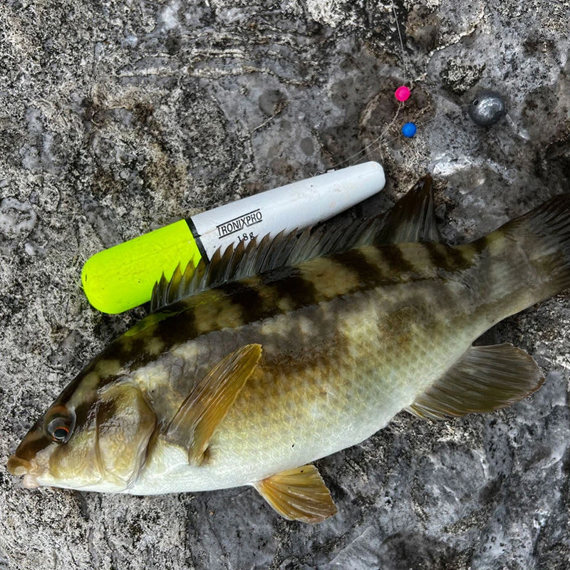 TronixPro Sea Float Kit
